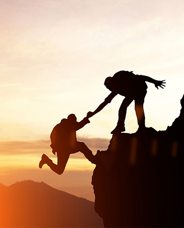 ��������VI-��Ʒ��ֵ������!