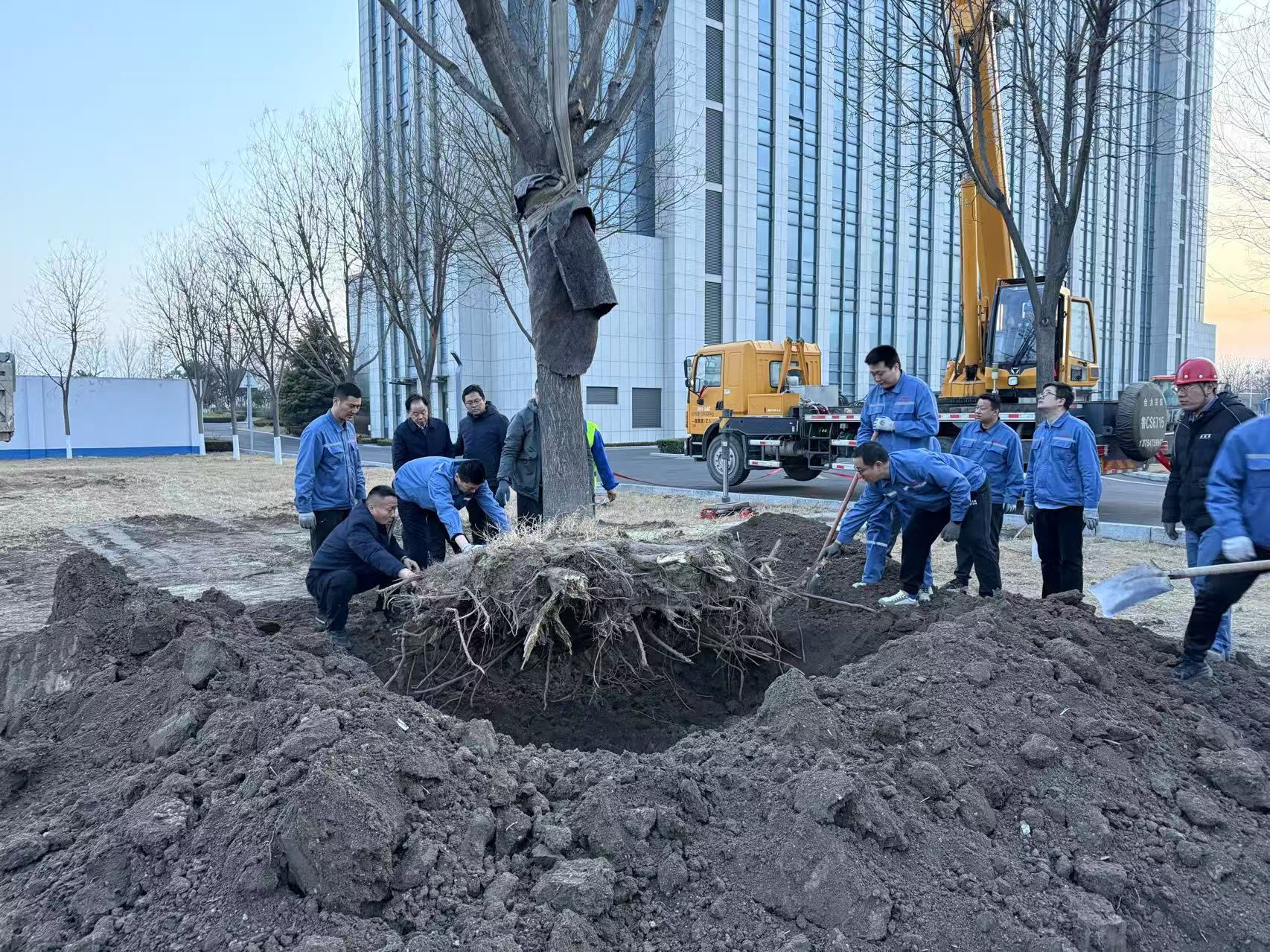 2025��3��1�վ�������VI�ɲ�ְ�����������´���һ��